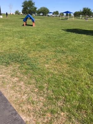 Southdown Dog Park photo 1